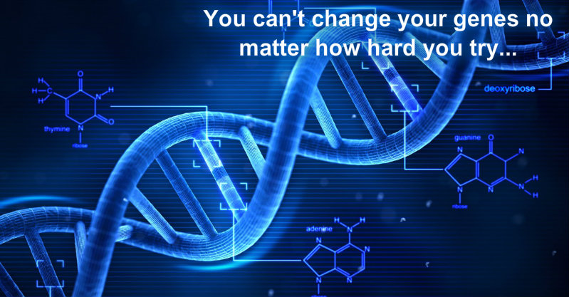 1123865559pizapw1409882311