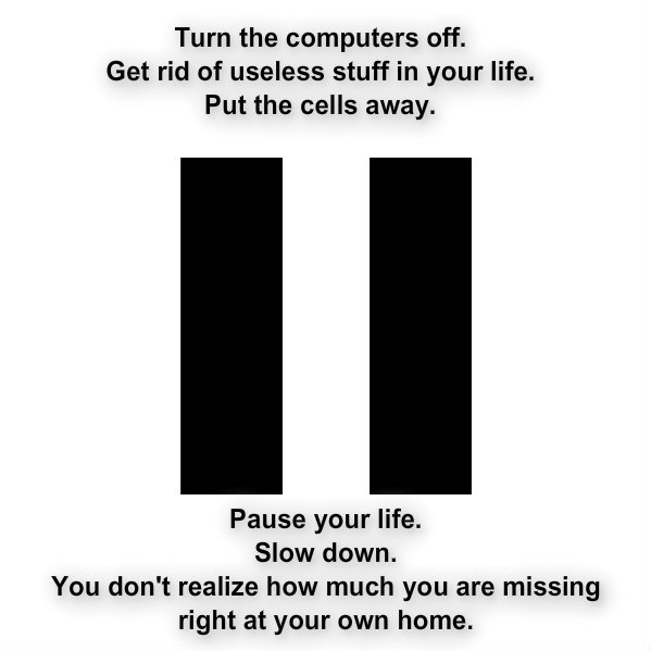 1123865559pizapw1409899182