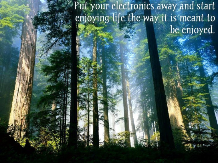 1123865559pizapw1410079690