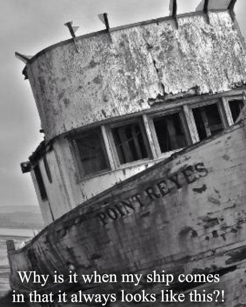 1123865559pizapw1412454619