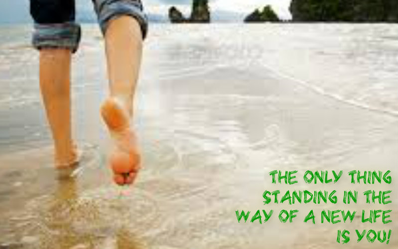 1123865559pizapw1412543438