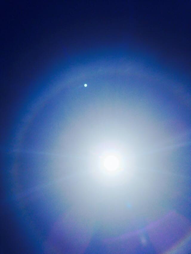 11239691_10204293230430776_3236954975272788126_n