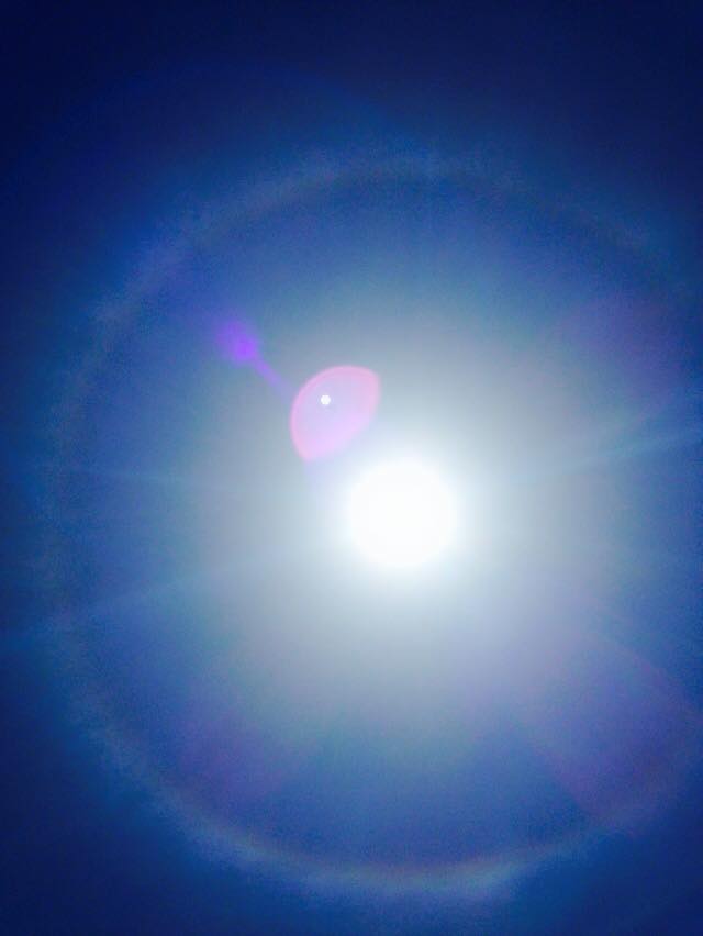 11245790_10204293234150869_5134170609208258691_n