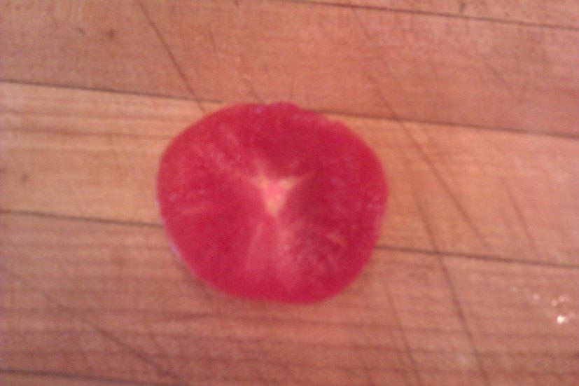 11249535_10205879102353073_675583995_o