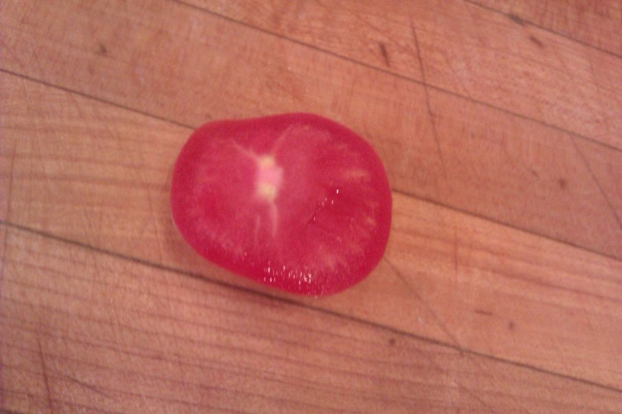 11256326_10205879118233470_291261398_o