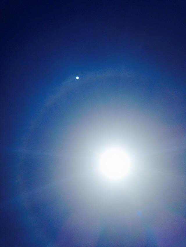 11258486_10204293236030916_228741612290188971_n