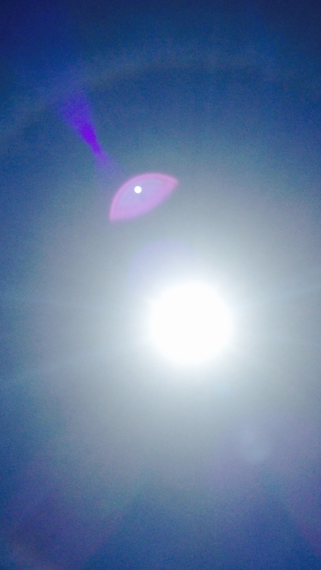 11266126_10204293262831586_521191830_o