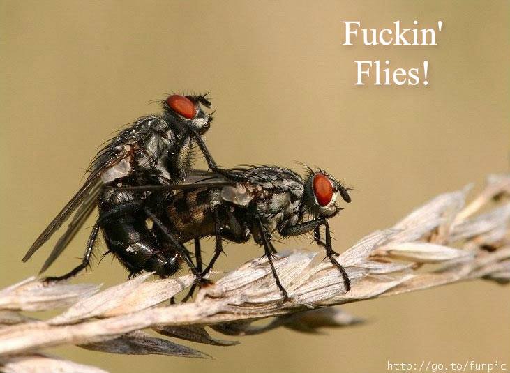 1240230_10201590024088797_1286559550_n