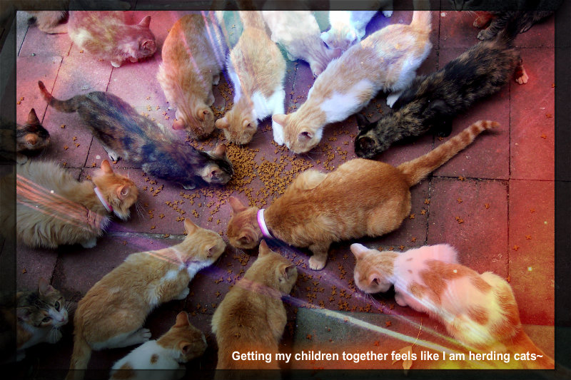 pizap.com10.0285795605741441251383362046258