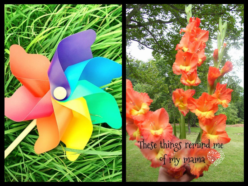 pizap.com10.08522640867158771385924724633