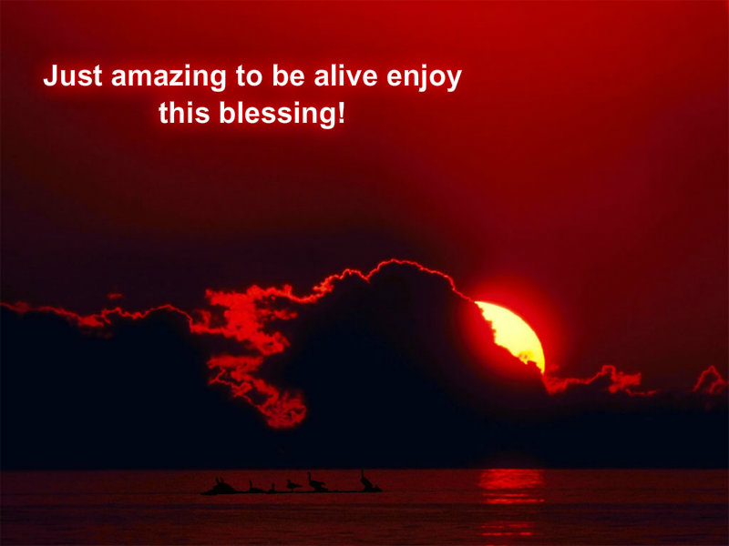 pizap.com10.085402624681591991381676263009