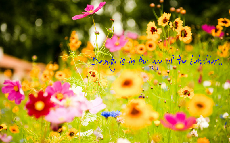 pizap.com10.105478383135050541383361423398