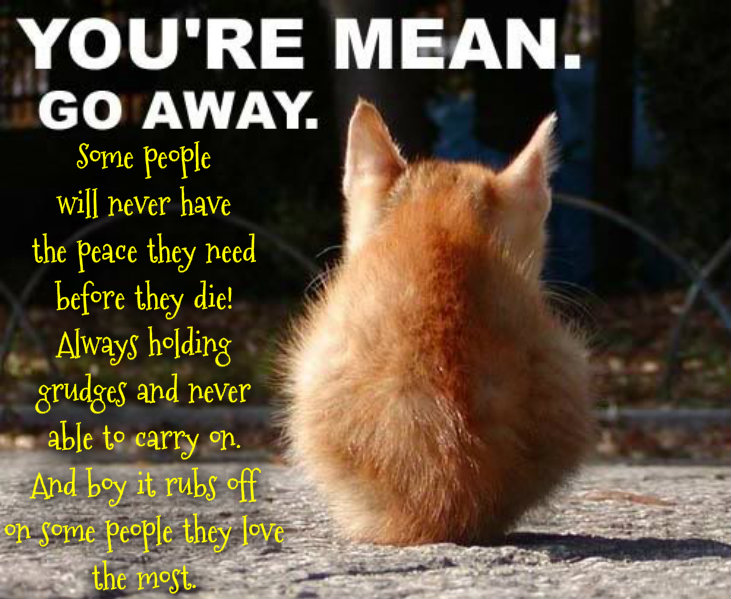 pizap.com10.135715546552091841385608035348