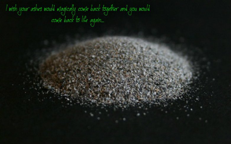 pizap.com10.320742503739893441383973274155