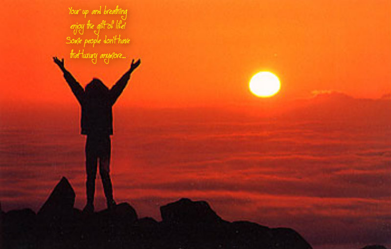 pizap.com10.357092226389795541384011343905