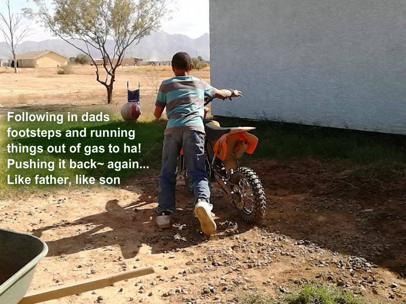 pizap.com10.379192198626697061383693029176