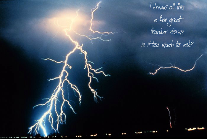 pizap.com10.61295263981446621392396735580