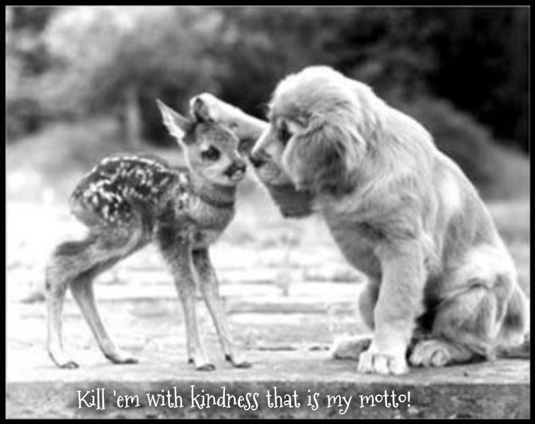 pizap.com10.74733475223183631385607771143