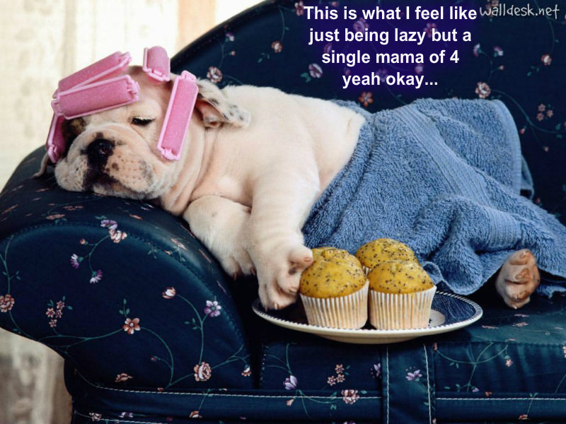 pizap.com10.93818513769656421381790378244