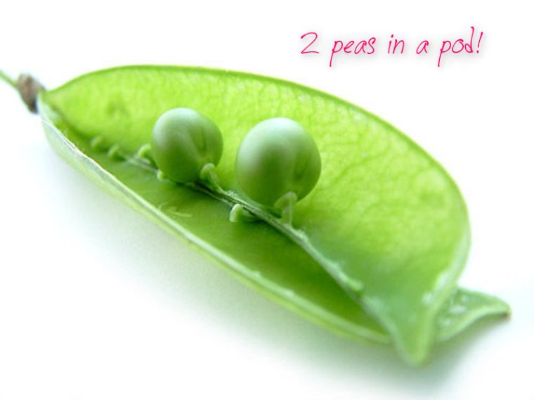 pizap.com10.94639560021460061383879248261