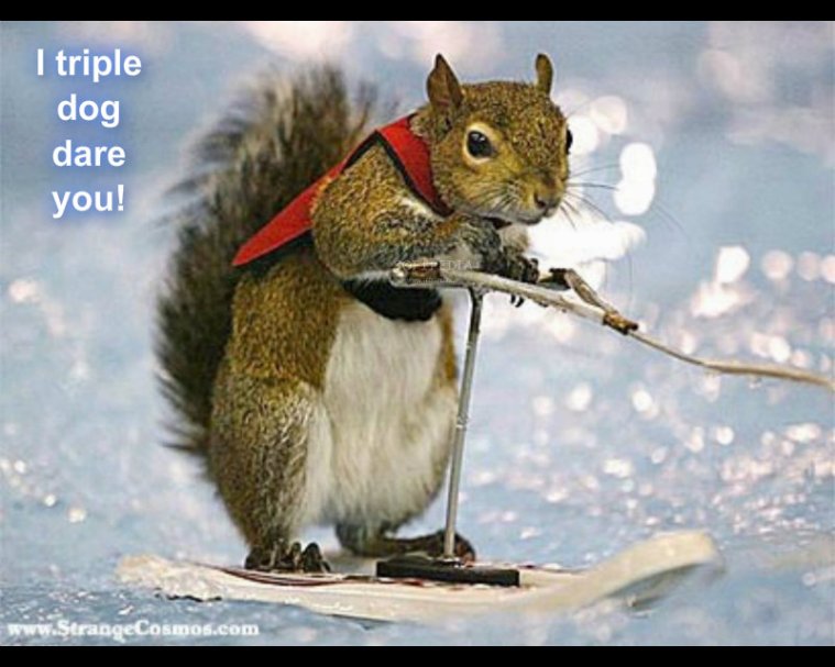 pizap.com10.97354520671069621379783763370