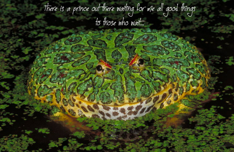 pizap.com10.97823889832943681382147667398