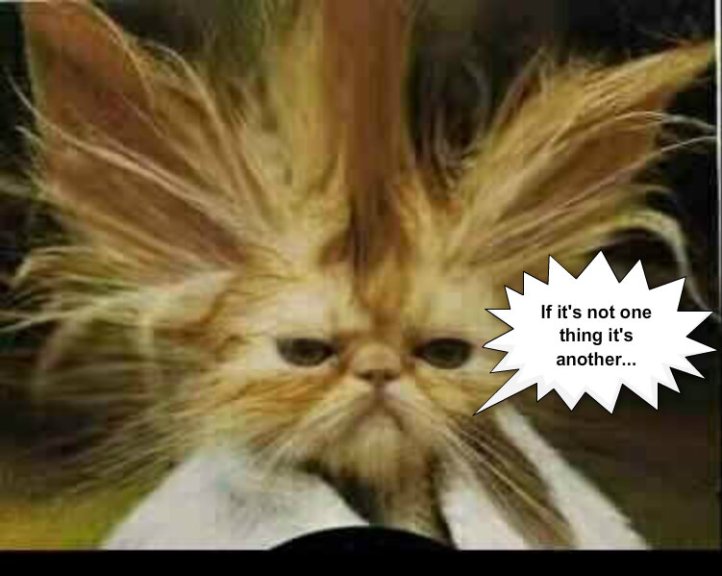 pizap.com10.97846997715532781386206549372