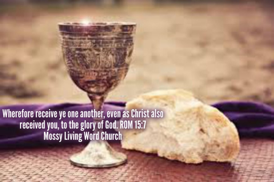 pizap.com14308872355351