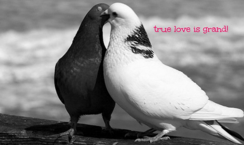 pizap.com14315435342441