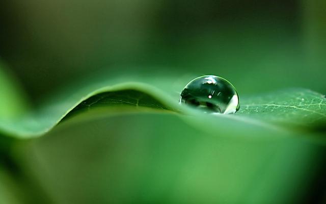 raindrop2