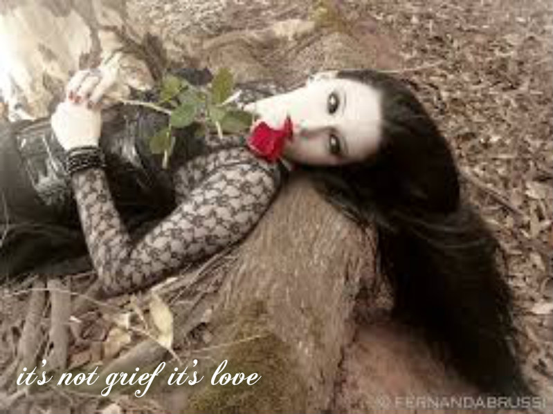 1123865559pizapw1418151730