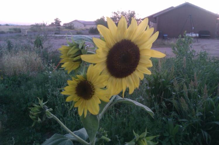 11348763_10206104051856670_283916810_n