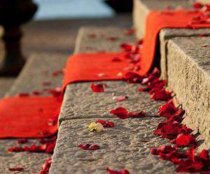 11535797_877092595691082_9133694558812832053_n