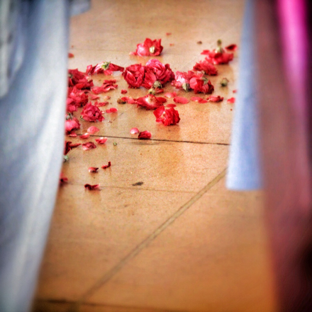 20140421-093243 pm.jpg