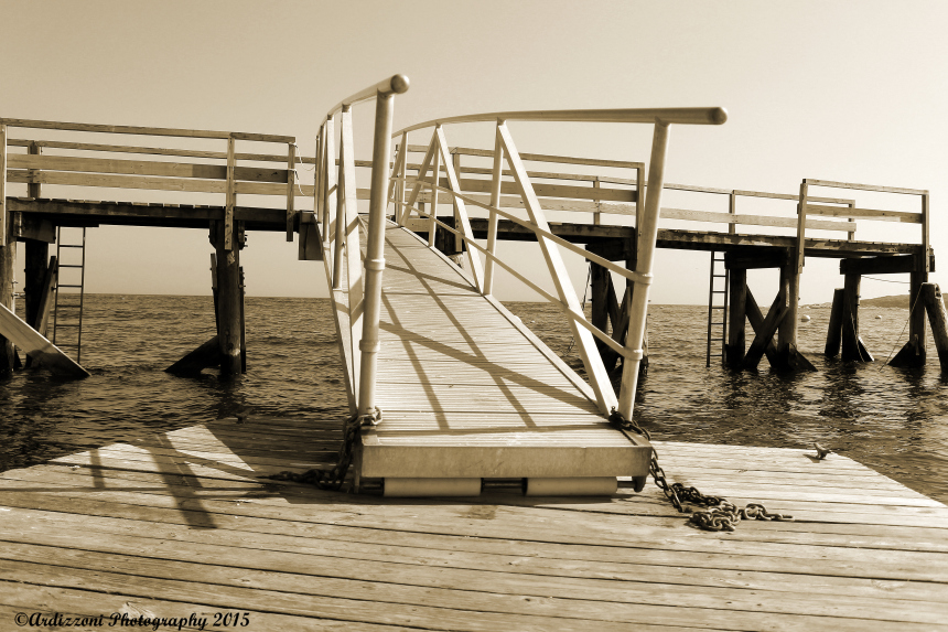 June 9, 2015 abcd 009 Pier and Raft
