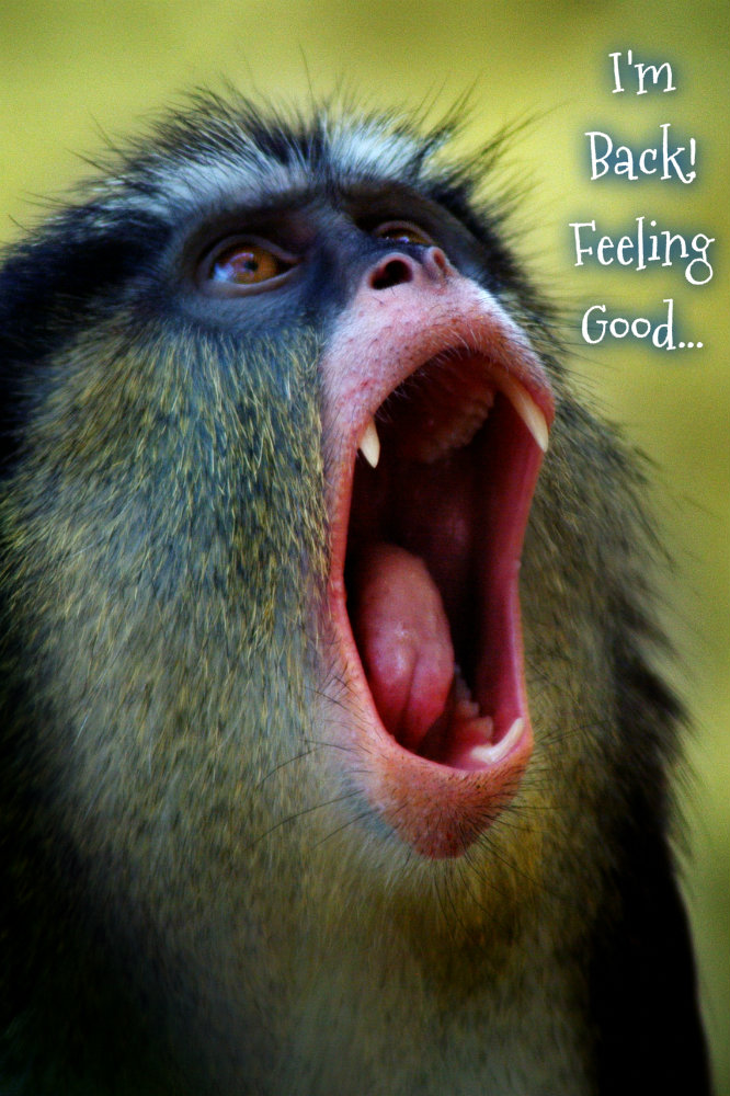 pizap.com10.00529850181192159651373132779675