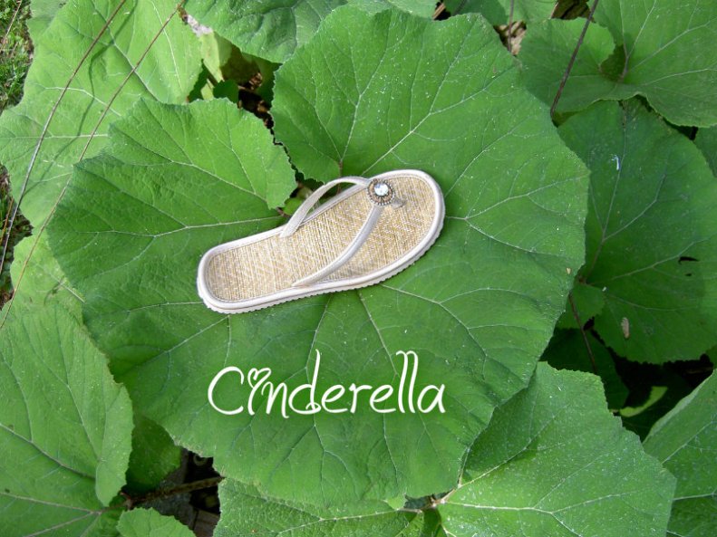 pizap.com10.0136194396764041375928625662