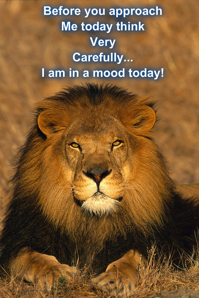 pizap.com10.0151934134773910051373160602417