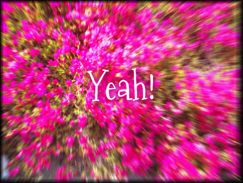 pizap.com10.024299815297126771375397078449