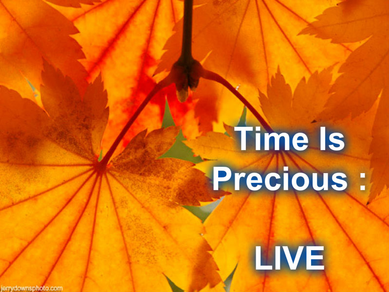 pizap.com10.03017456177622081372465131740