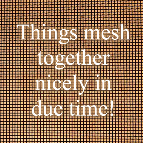 pizap.com10.0509987329132854941379710006869