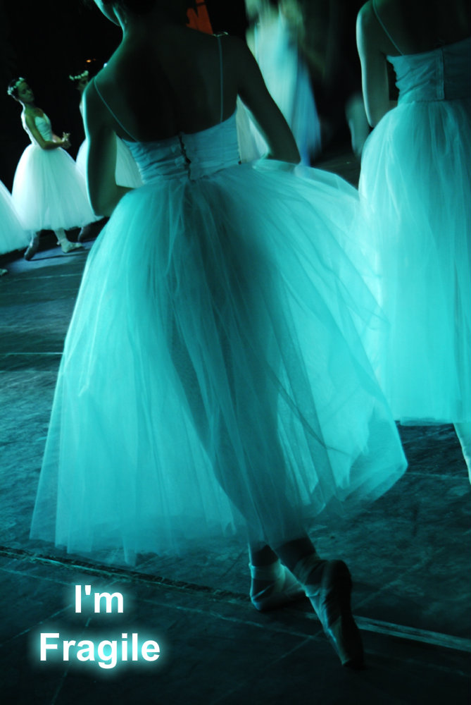 pizap.com10.059958644211292271373760675034