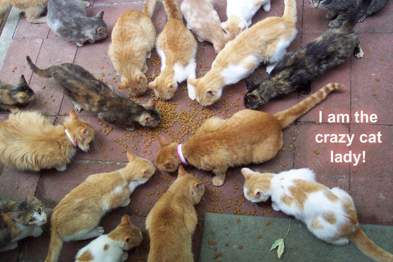 pizap.com10.063627156428992751380386684756