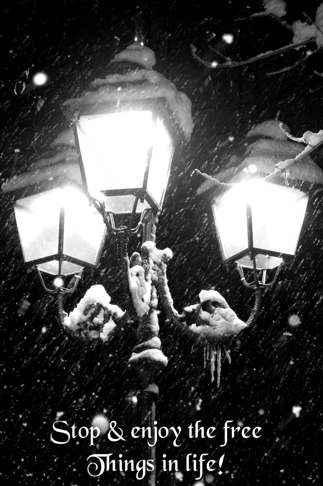 pizap.com10.06468992447480561374466620314