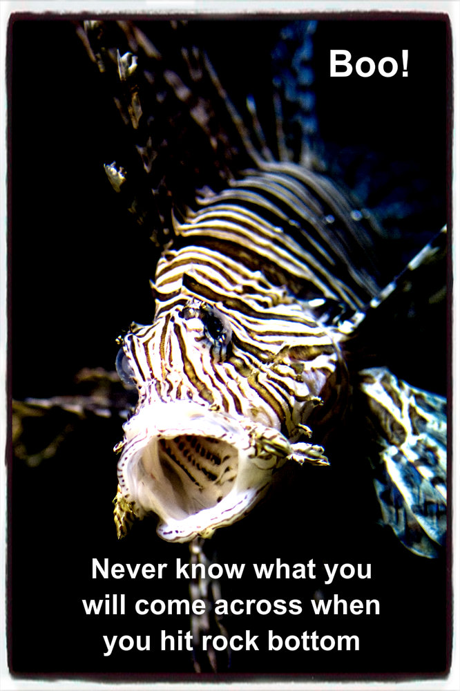 pizap.com10.067346948664635421373950230694