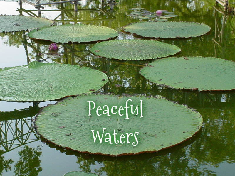 pizap.com10.070400333963334561375373598019