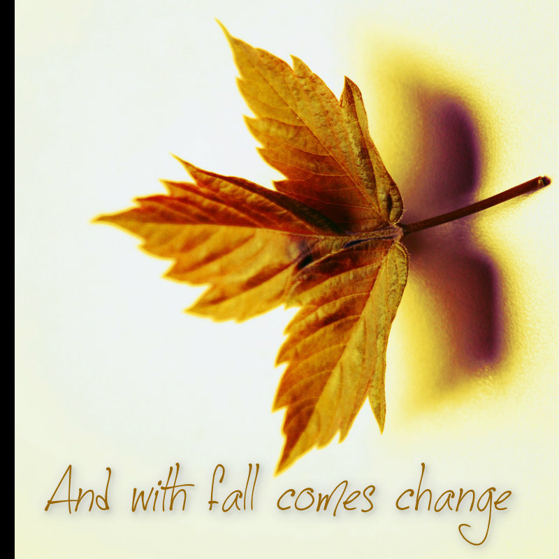 pizap.com10.081440844573080541374445294454