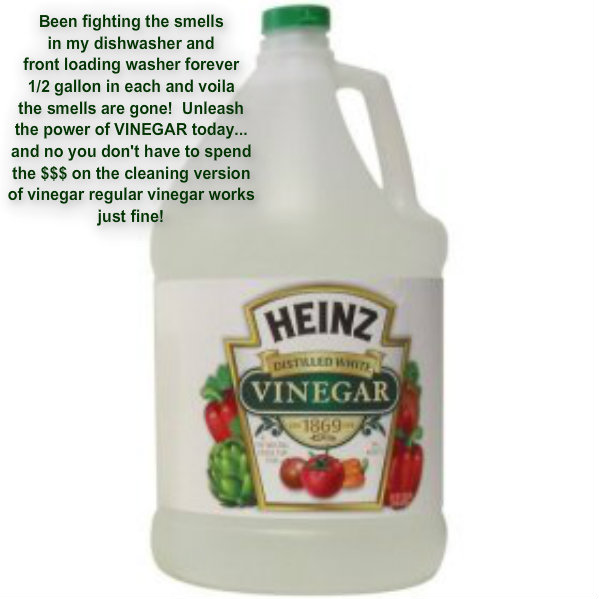 pizap.com10.081676260568201541379348481065