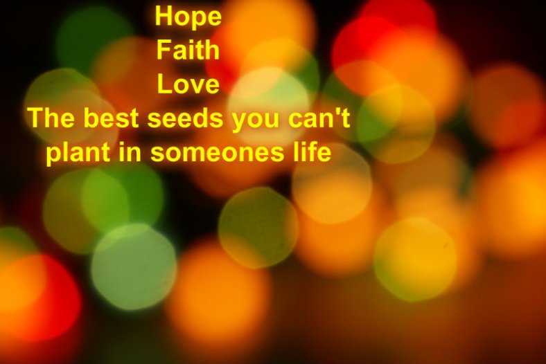 pizap.com10.0875215339474381378744108692