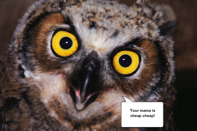 pizap.com10.087899161968380211372703042720